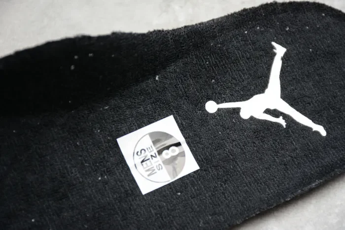 Air Jordan 11 “Space Jam” 378037-003