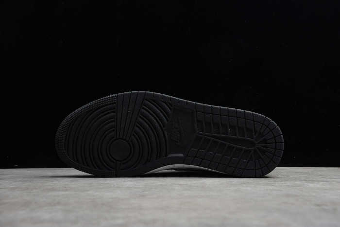 Air Jordan 1 Retro High Silver Toe (W) CD0461-001