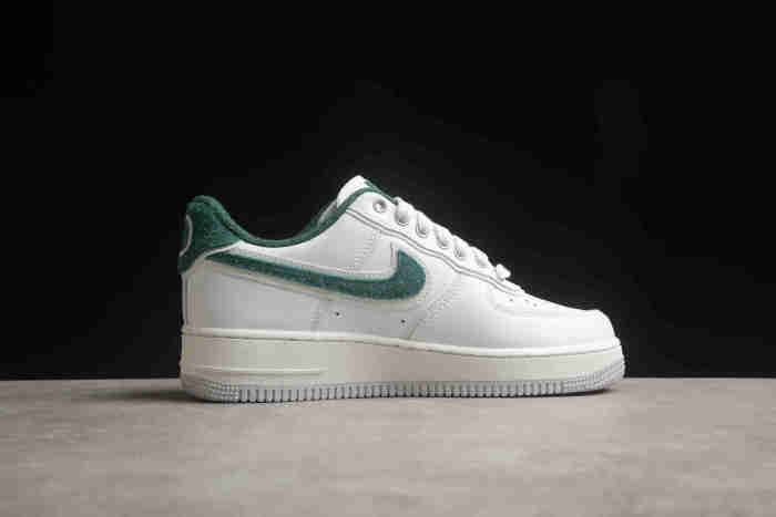 Air Force 1 Low Ducks of a Feather Division Street