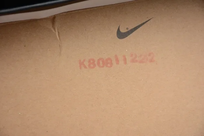 SB x Air Jordan 1 Retro High OG“Light Bone” CD6578-006