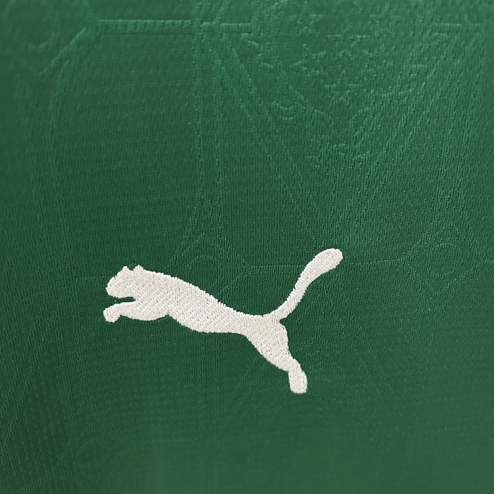 Palmeiras Home Man Jersey 25/26