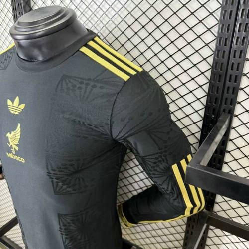 Mexico Gold Man Player Long Sleeve Jersey 25/26