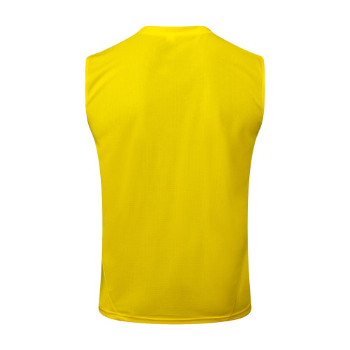 Borussia Dortmund Training Jersey 24/25