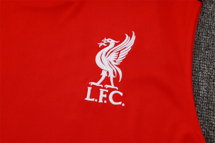 Liverpool Training Jersey 25/26