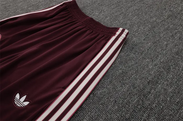 Bayern Munich Training Jersey Suit 25/26