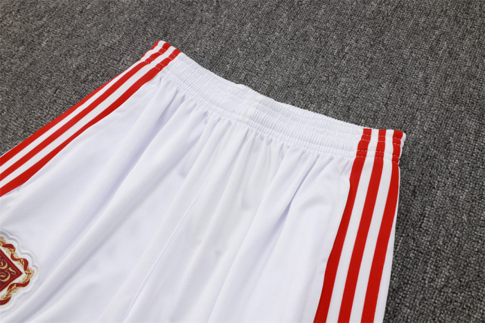 Bayern Munich Training Jersey Suit 25/26