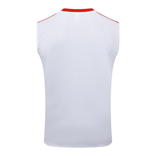 Bayern Munich Training Jersey 25/26