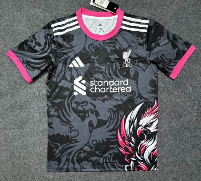 Liverpool Special Edition Man Jersey 25/26
