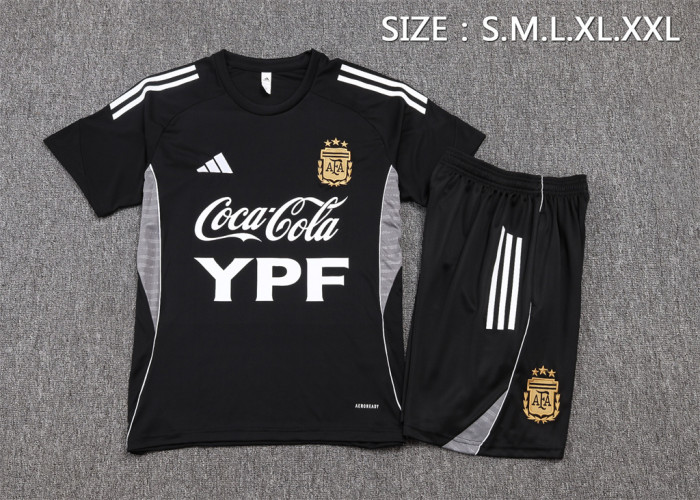 Argentina Training Short sleeve Jersey 25/26