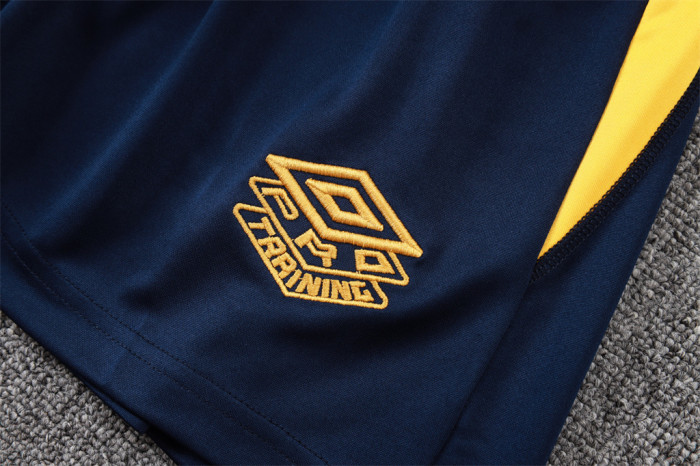 Santos Training Jersey 24/25