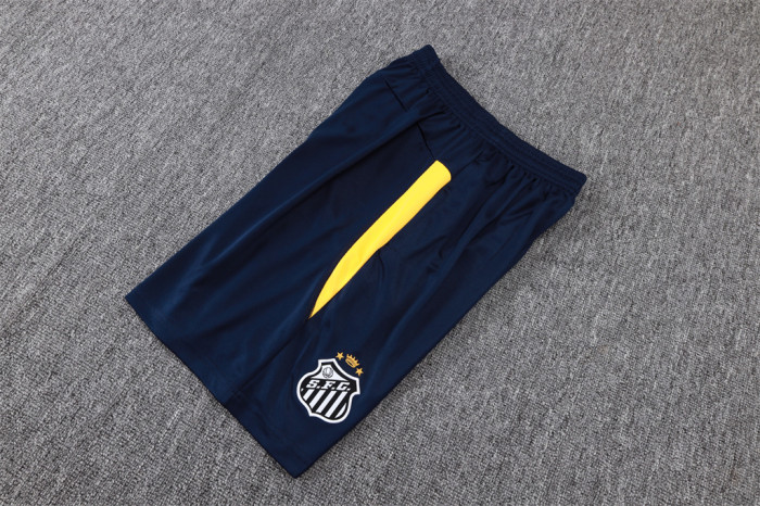 Santos Training Jersey 24/25