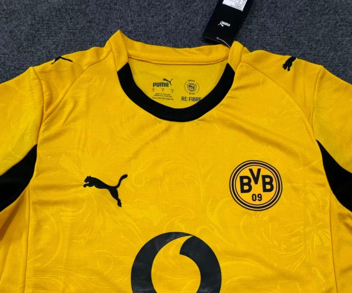 Borussia Dortmund Cup Man Jersey 25/26