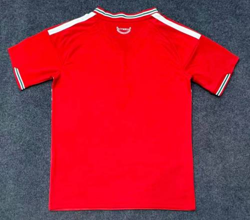 Wales 2026 World Cup Home Men Jersey