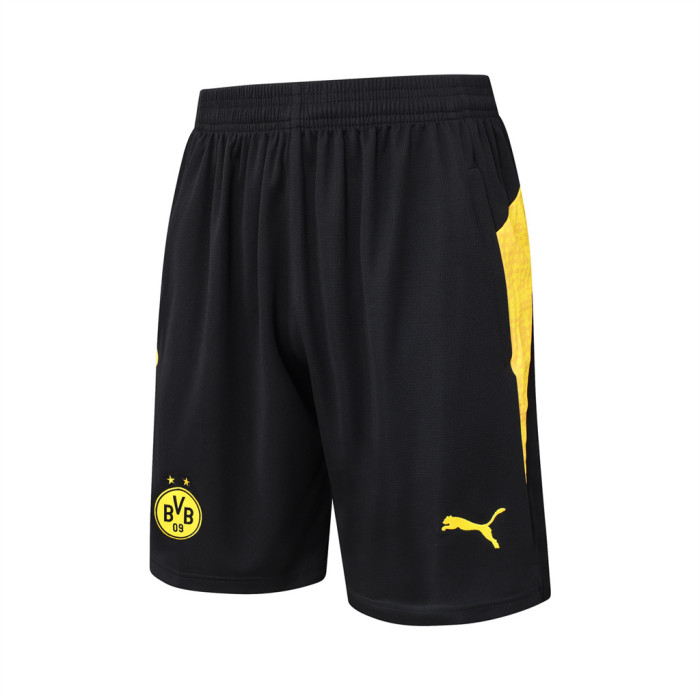 Borussia Dortmund Training Jersey 25/26
