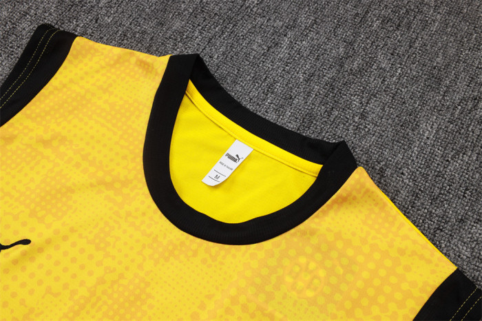 Borussia Dortmund Training Jersey 25/26