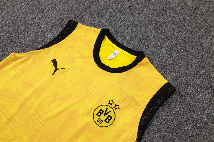Borussia Dortmund Training Jersey 25/26