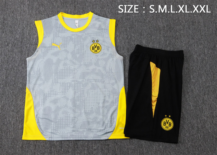 Borussia Dortmund Training Jersey 25/26