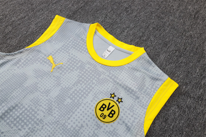 Borussia Dortmund Training Jersey 25/26