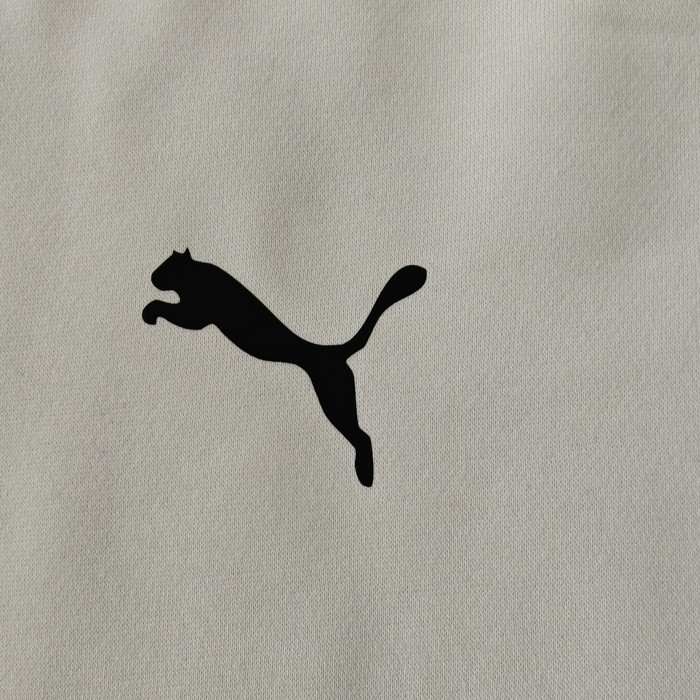 Palmeiras fleece-lined Hoodie （Multiple colors）