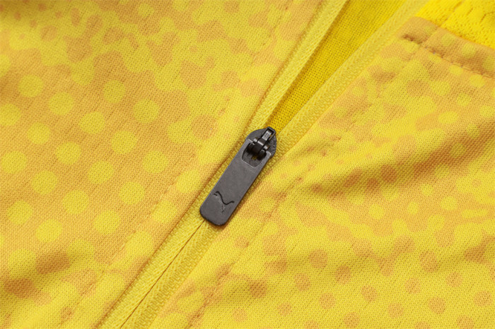 Borussia Dortmund Training Jersey Suit 25/26