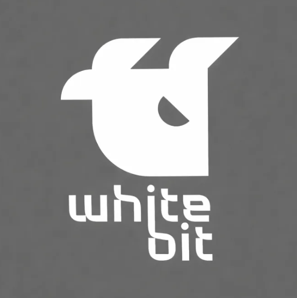 Juventus Fourth Long Sleeve Man Jersey 25/26