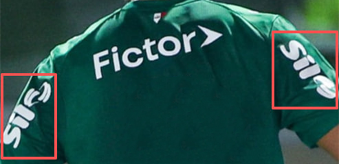 Palmeiras Home Men Long Sleeve Jersey 26/27