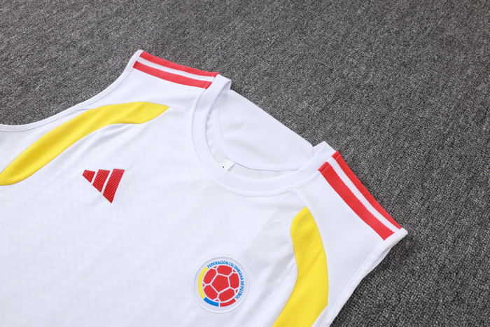 Colombia Training Jersey 26/27