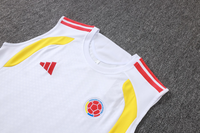 Colombia Training Jersey 26/27