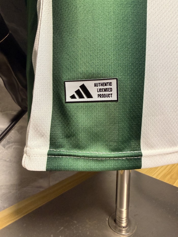 Mexico 2026 Special Edition Men Player Jersey