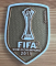 FIFA  2011