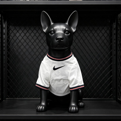 England 2026 World Cup Home Dog's Jersey
