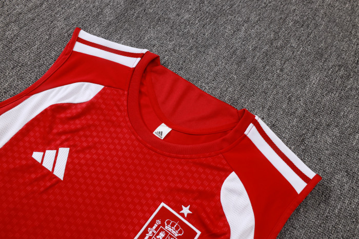 Spain Training Jersey 26/27