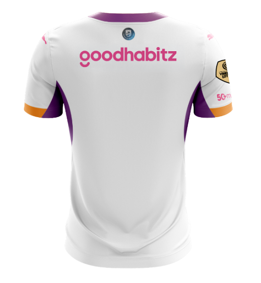 PSV Eindhoven Away Men Jersey 26/27