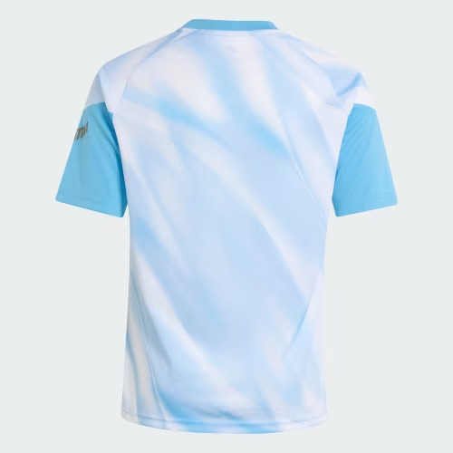 Argentina Special Edition Men Training  Jersey 26/27